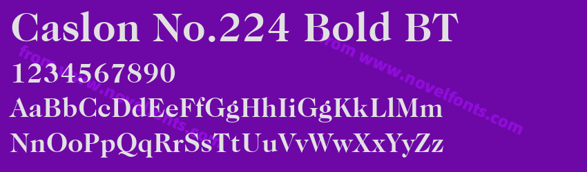 Caslon No.224 Bold BTPreview