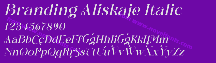 Branding Aliskaje ItalicPreview