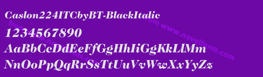 Caslon224ITCbyBT-BlackItalicPreview