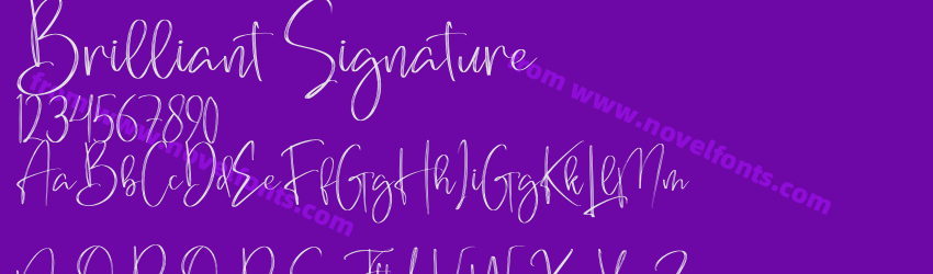 Brilliant SignaturePreview