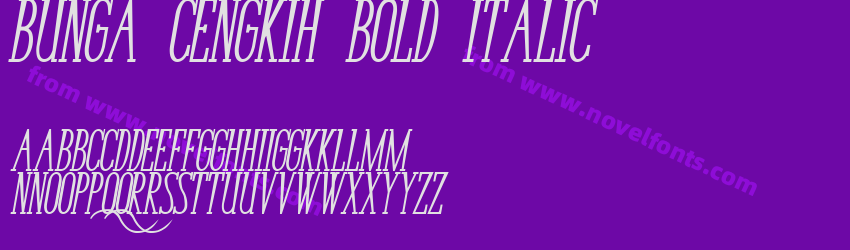 Bunga Cengkih Bold ItalicPreview