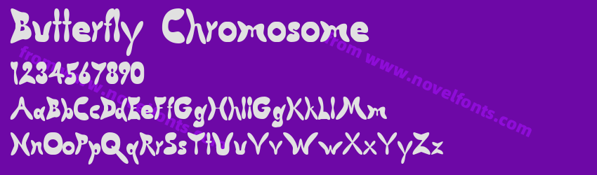 Butterfly ChromosomePreview