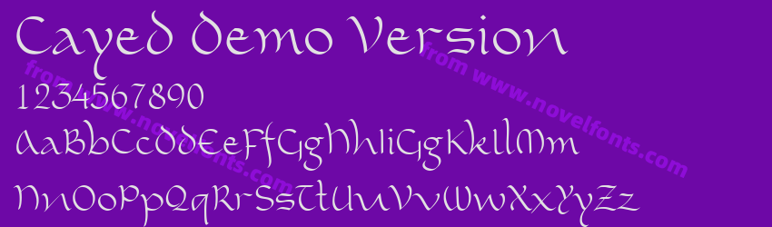 Cayed Demo VersionPreview