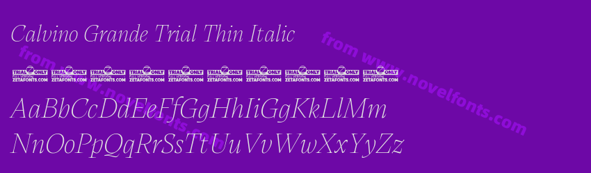 Calvino Grande Trial Thin ItalicPreview