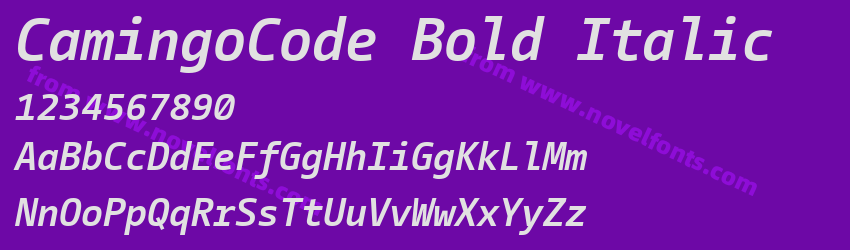 CamingoCode Bold ItalicPreview