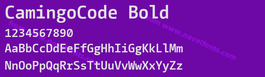 CamingoCode BoldPreview