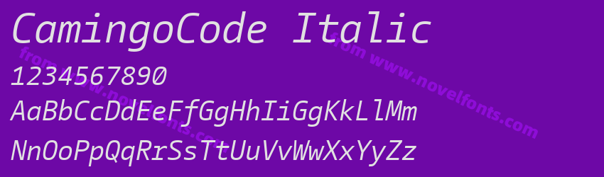 CamingoCode ItalicPreview