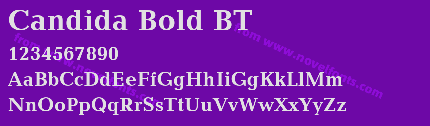 Candida Bold BTPreview