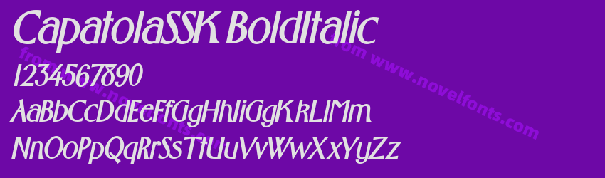 CapatolaSSK BoldItalicPreview