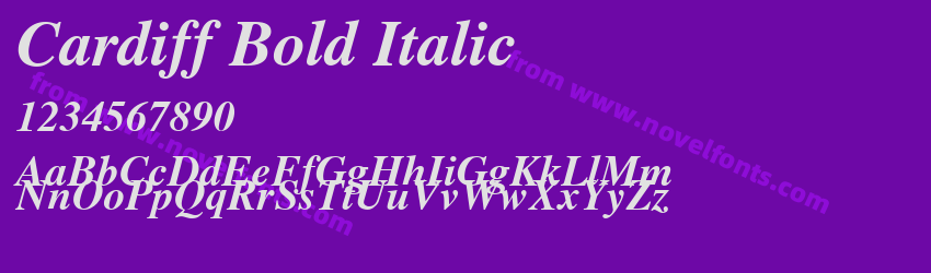 Cardiff Bold ItalicPreview