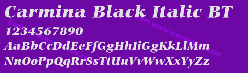 Carmina Black Italic BTPreview