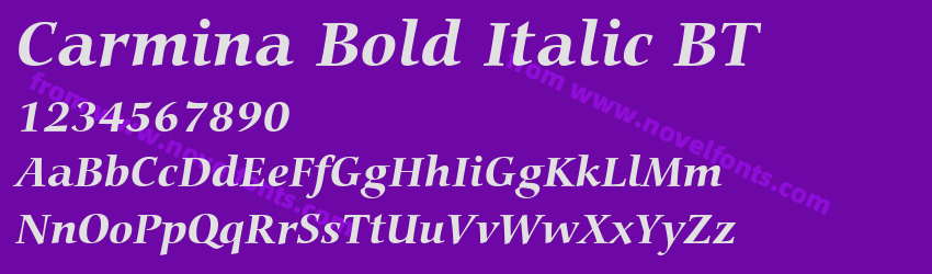 Carmina Bold Italic BTPreview