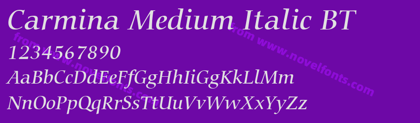 Carmina Medium Italic BTPreview