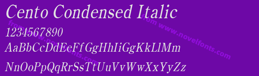 Cento Condensed ItalicPreview