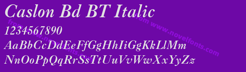 Caslon Bd BT ItalicPreview