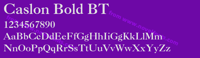 Caslon Bold BTPreview