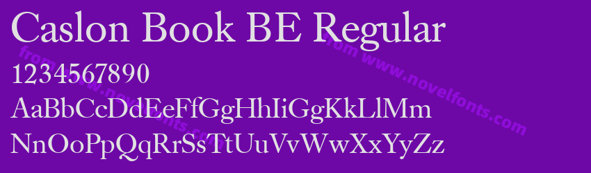 Caslon Book BE RegularPreview