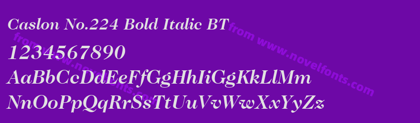 Caslon No.224 Bold Italic BTPreview