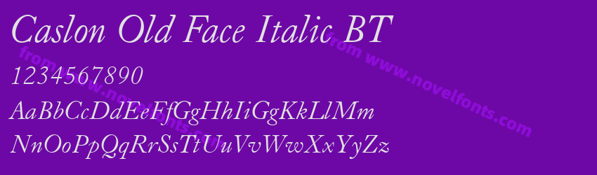 Caslon Old Face Italic BTPreview