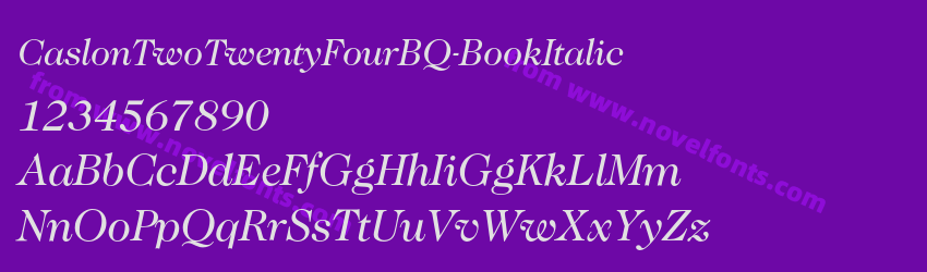 CaslonTwoTwentyFourBQ-BookItalicPreview