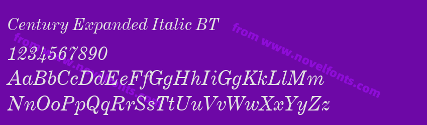 Century Expanded Italic BTPreview