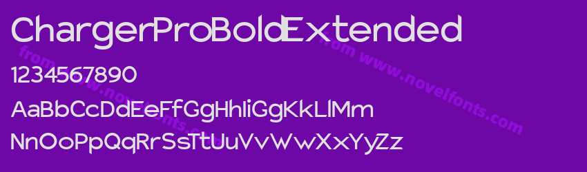 Charger Pro Bold ExtendedPreview