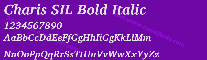 Charis SIL Bold ItalicPreview