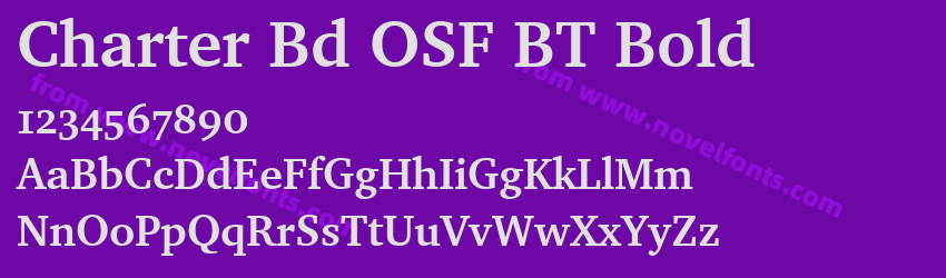 Charter Bd OSF BT BoldPreview