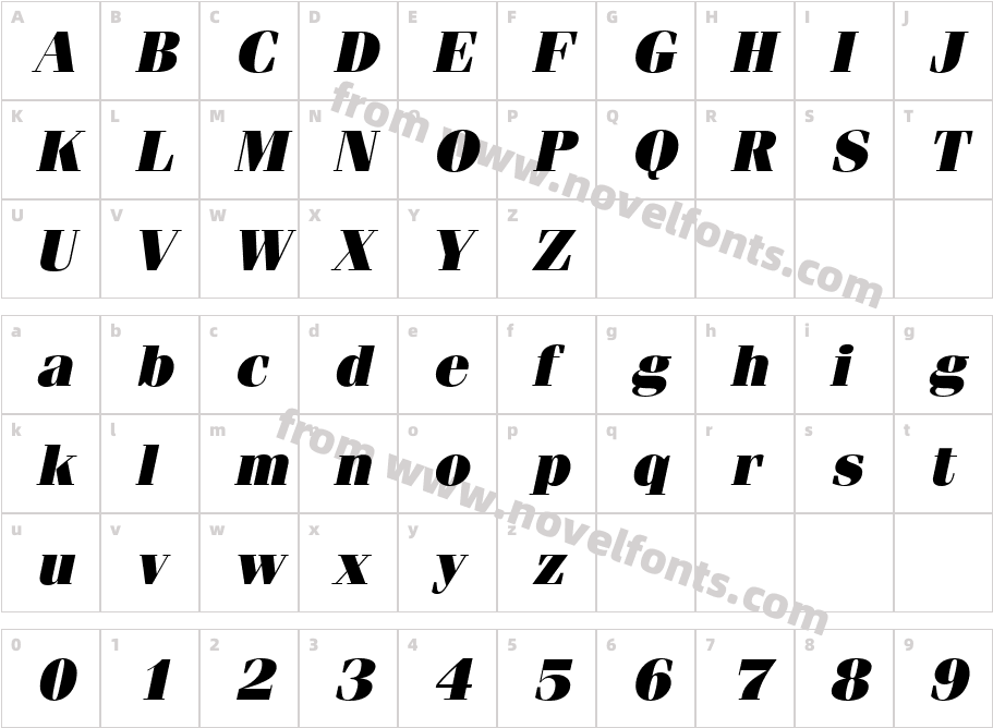 Compendium Black SSi Black ItalicCharacter Map