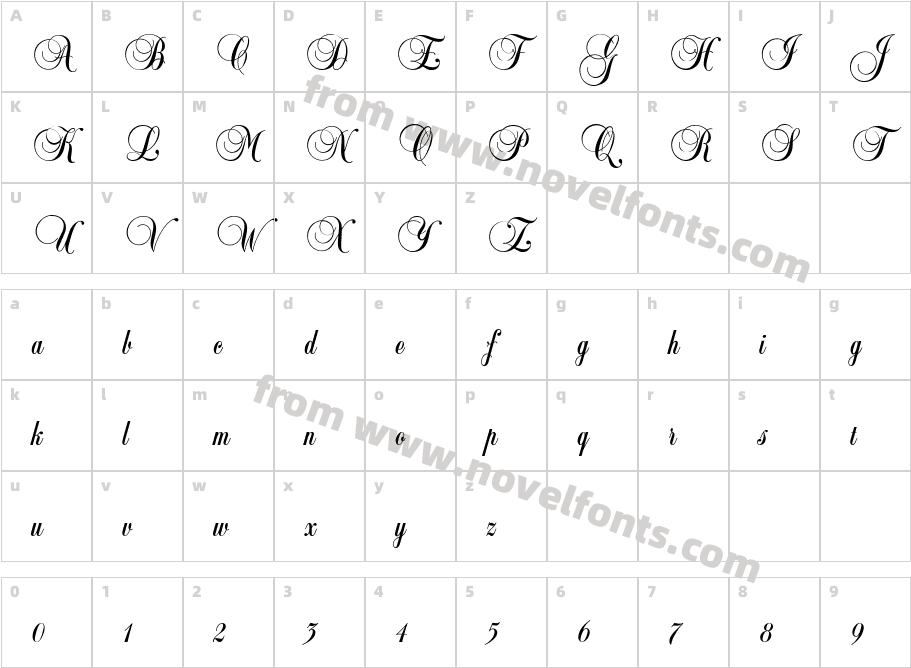 Copyist ThinCharacter Map