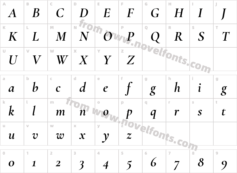 Cormorant Garamond Bold ItalicCharacter Map