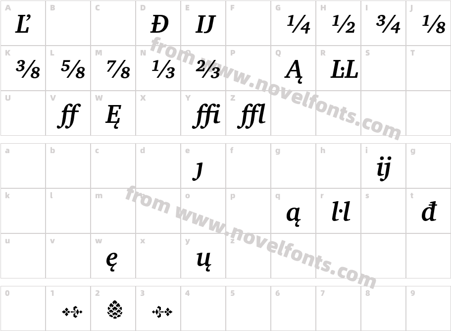 CharterBT-BoldItaExtensionCharacter Map