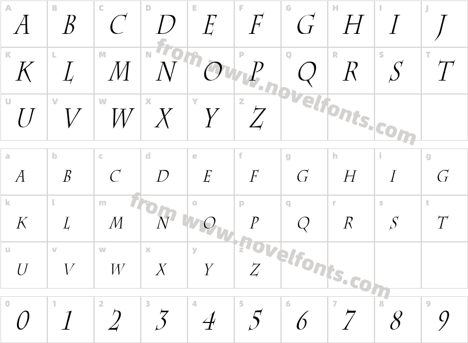 Chaz Thin ItalicCharacter Map