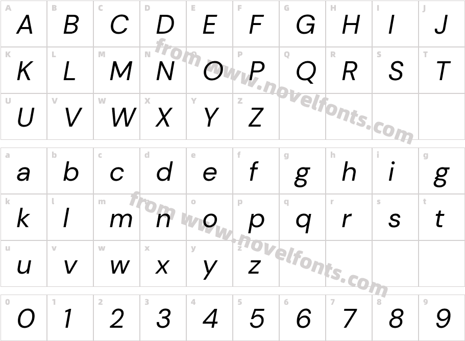 DM Sans ItalicCharacter Map