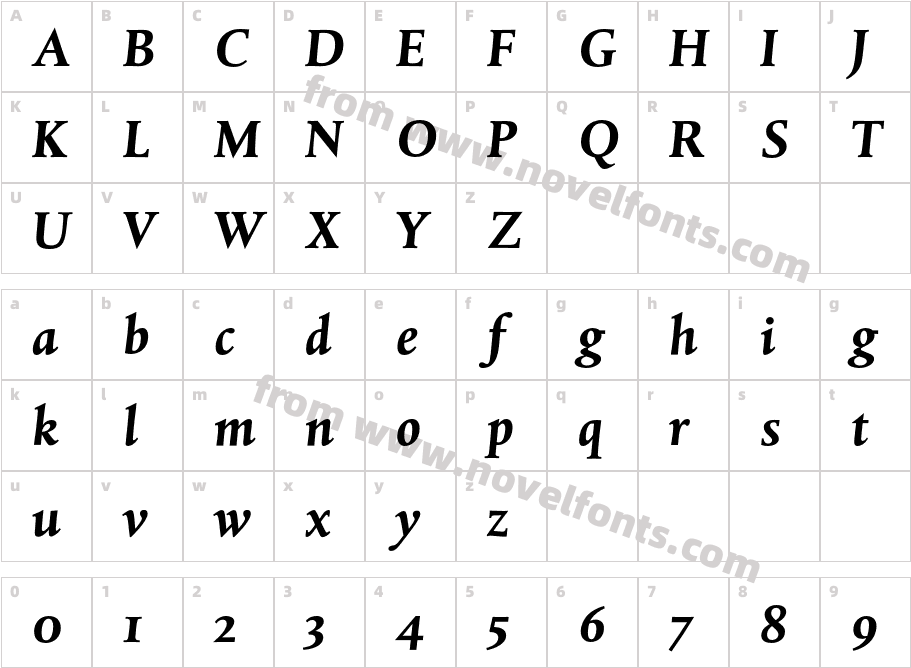 DTLAlbertinaST-BoldItalicCharacter Map