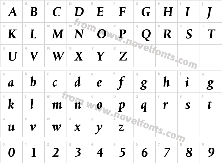 DTLAlbertinaT-BoldItalicCharacter Map