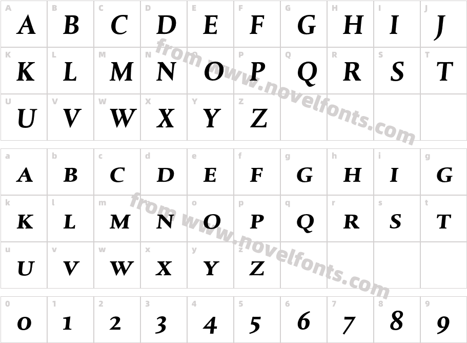 DTLAlbertinaTCaps-BoldItalicCharacter Map