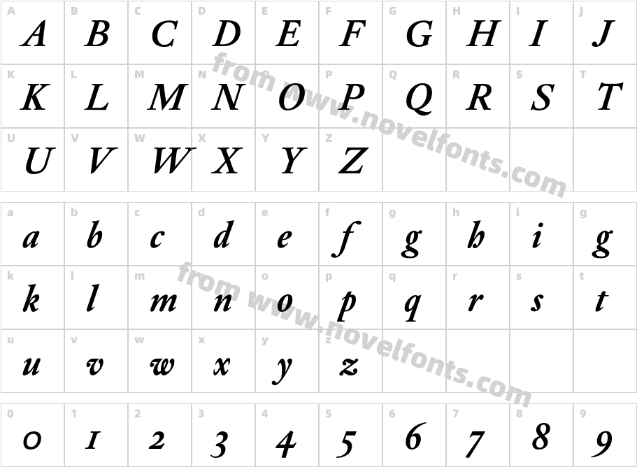 DTLElzevirS-BoldItalicCharacter Map