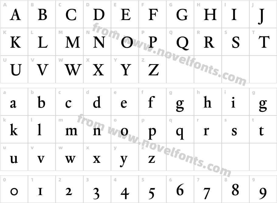 DTLElzevirSMediumCharacter Map