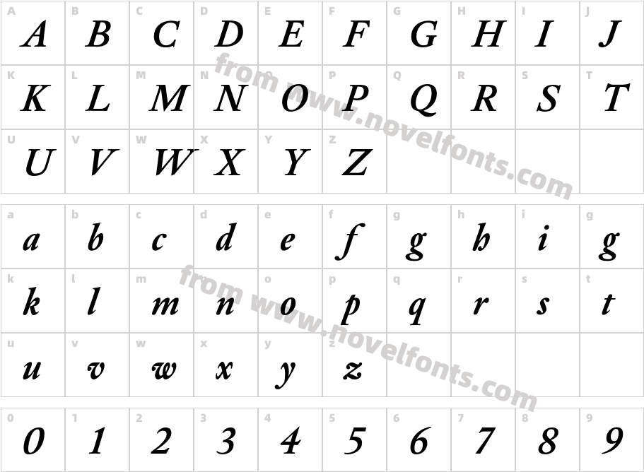 DTLElzevirT-BoldItalicCharacter Map