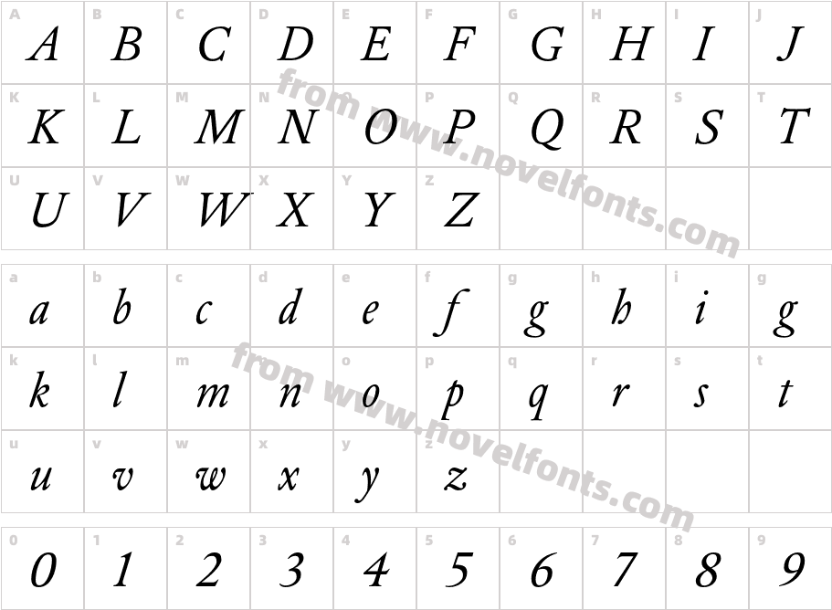 DTLElzevirT-ItalicCharacter Map