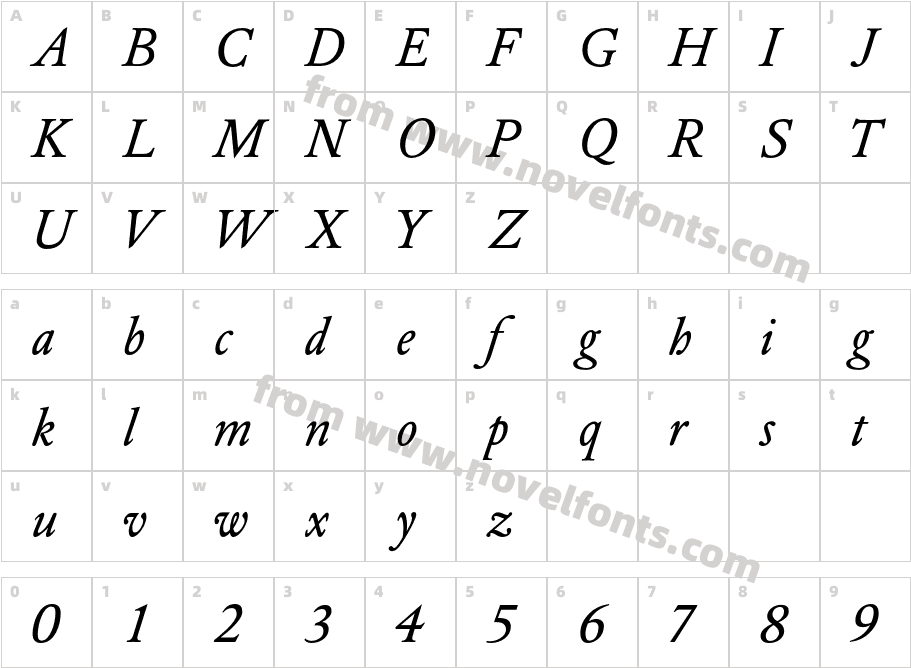 DTLElzevirTBook-ItalicCharacter Map