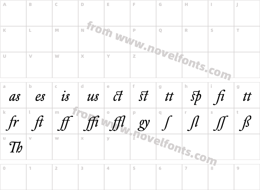 DTLElzevirTBookAlternate-ItalicCharacter Map
