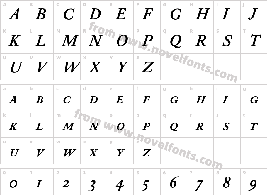 DTLElzevirTCaps-BoldItalicCharacter Map