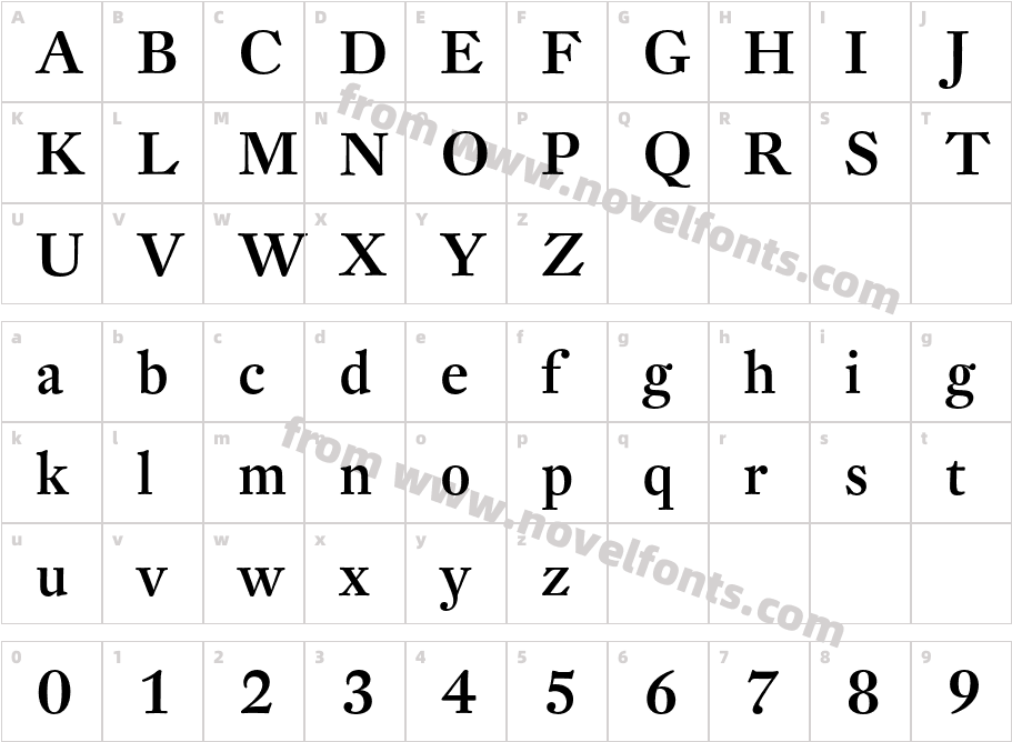 DTLFleischmann-DMediumCharacter Map