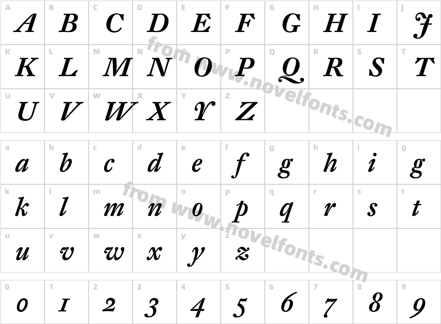 DTLFleischmann-STMediumItCharacter Map