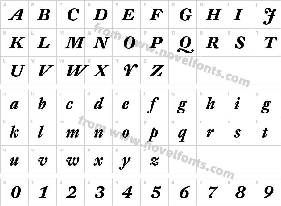 DTLFleischmann-TBoldItCharacter Map