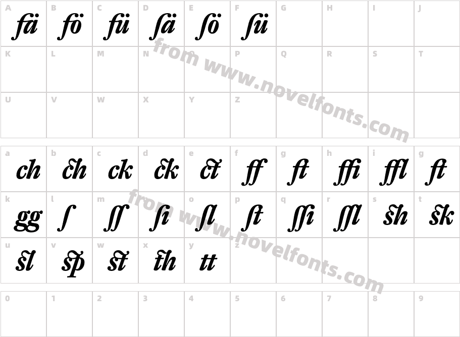 DTLFleischmann-TBoldItAltCharacter Map