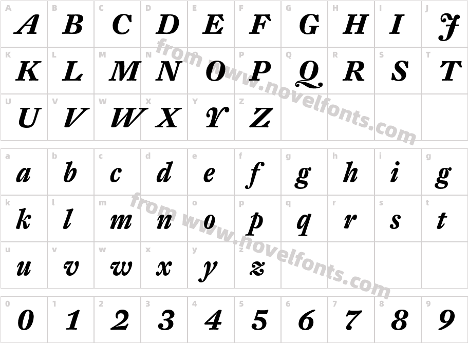 DTLFleischmannT-BoldItalicCharacter Map