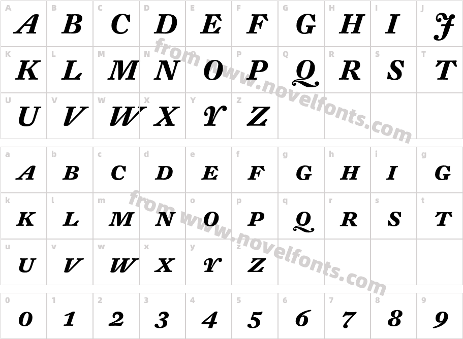 DTLFleischmannT-CapsBoldItalicCharacter Map